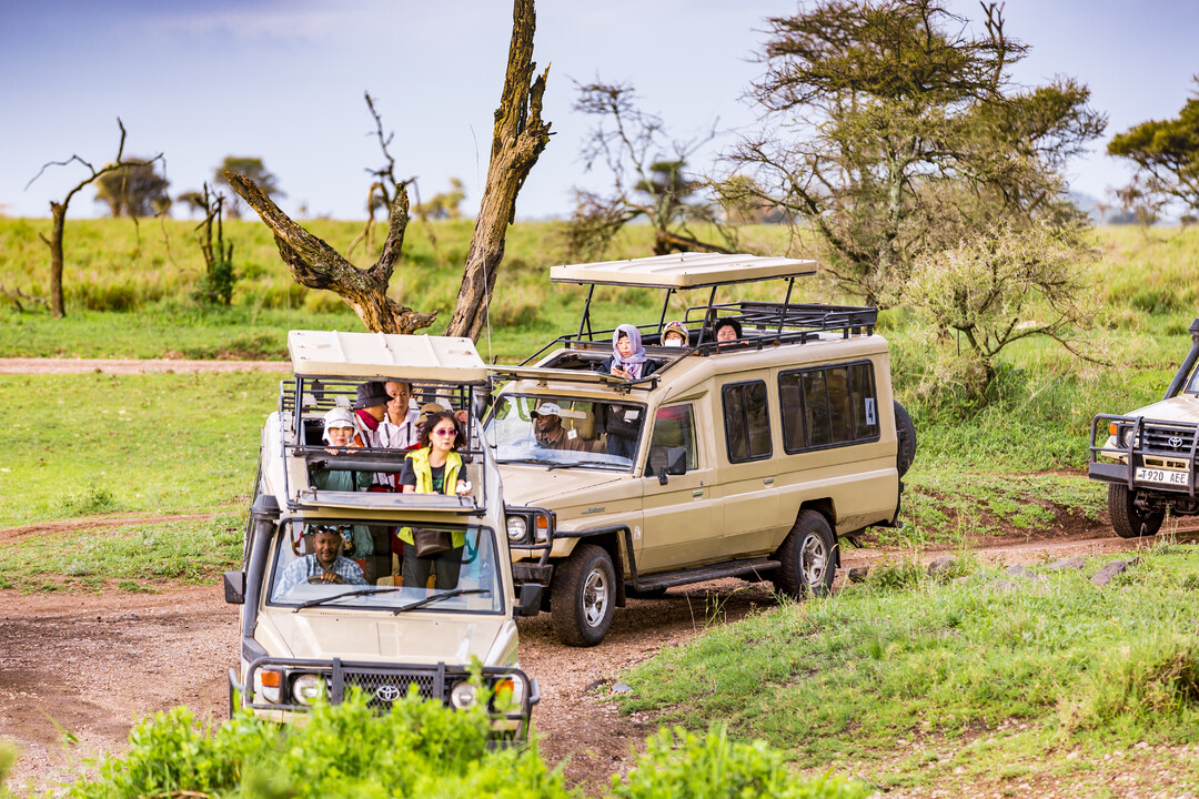 Ngorongoro